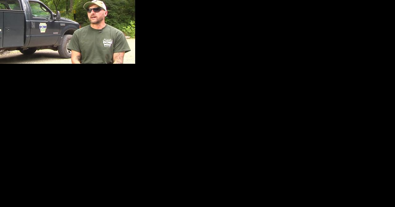 Wildland firefighter for DCNR reveals what goes into fighting wildfires - Vimarsana News