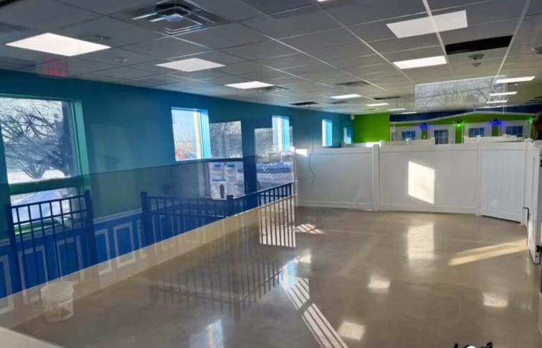 New Allentown facility to offer interactive dog daycare, boarding and