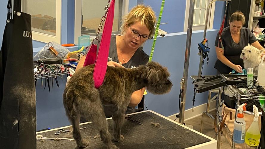 Openings & Closings NJ businesses New Jersey News