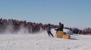 Gallatin Skijor dashing through the snow this January