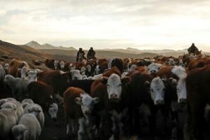 South American bloc to ink long-awaited trade deal with EU