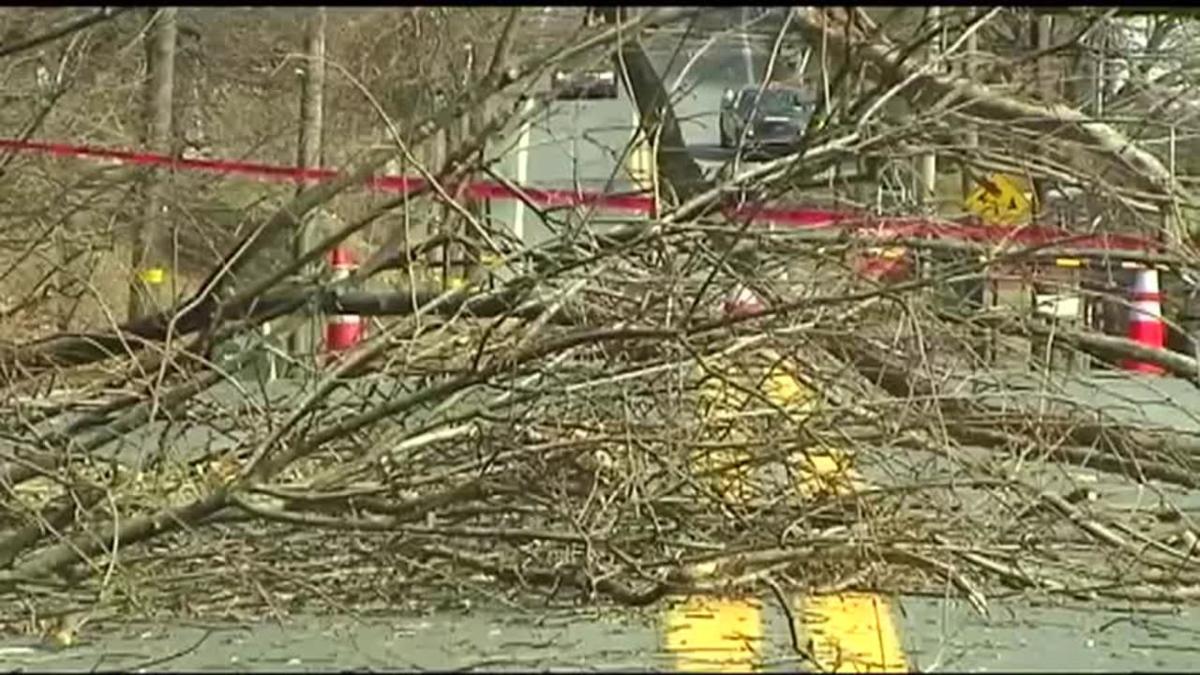 Strong Winds Cause Downed Trees Power Outages Across The Region Lehigh Valley Regional News Wfmz Com