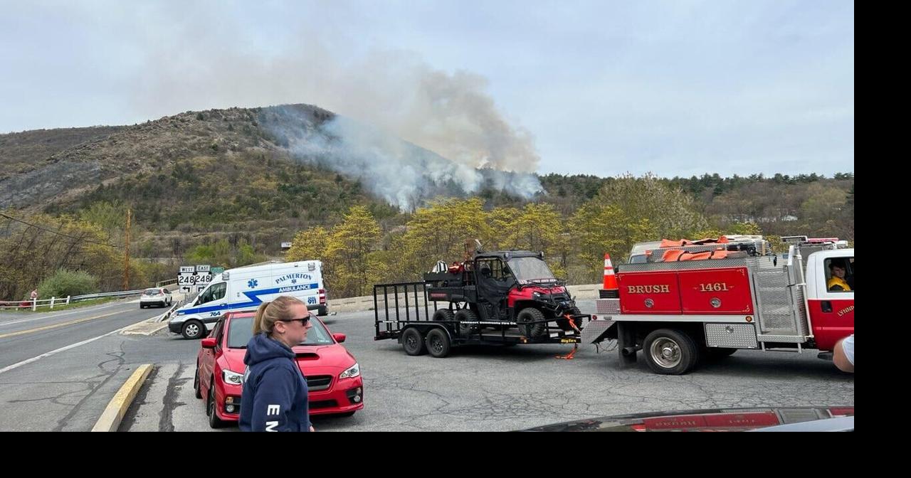 Crews battle large brush fire on Blue Mountain in Lehigh Twp. | Lehigh ...
