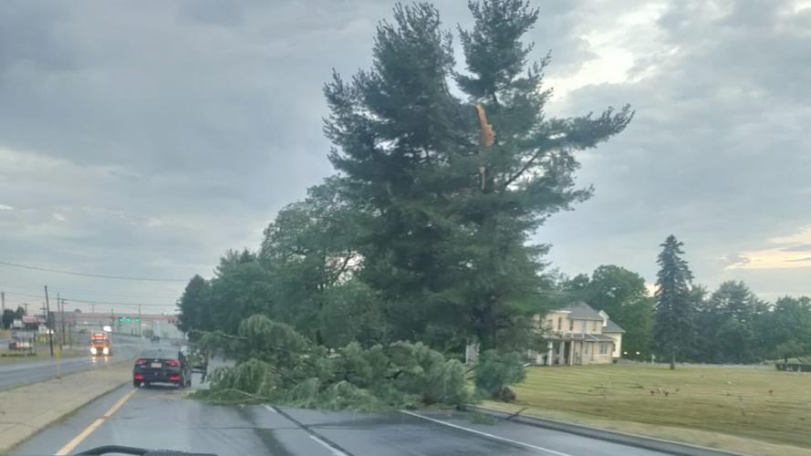Storm downs trees, leaves thousands without power in Lehigh Valley ...