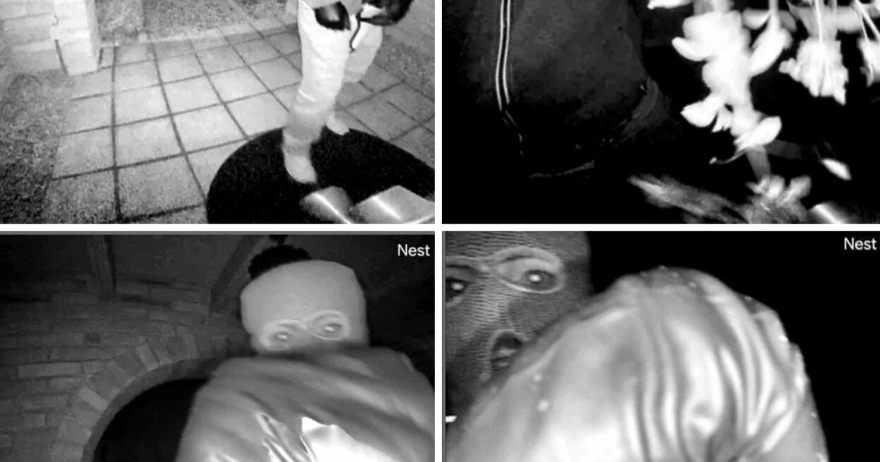 Nancy Guthrie kidnapping investigators work with Walmart after identifying suspect backpack | Associated Press