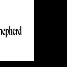 Shepherd Raises $42M Series B to Power the Insurance Behind AI ...