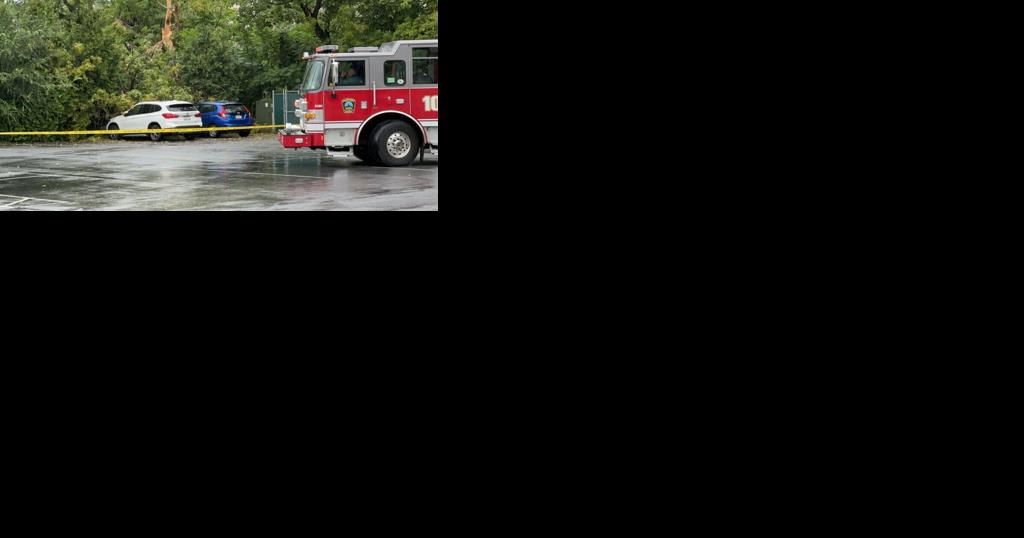 Downed tree on wires partially pulls apart wall of St. Luke's Hamilton - Vimarsana News