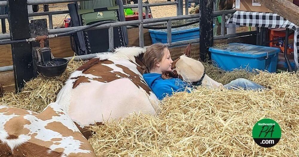 See what's new at this year's Farm Show