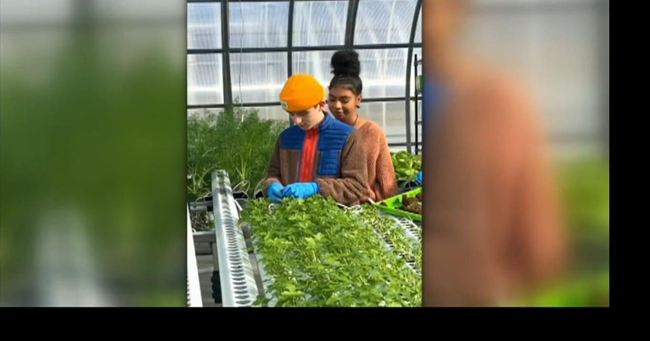 NJ farm teaches kids with autism about sustainable farming | Good News ...