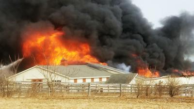 Fire Destroys Race Horse Training Farm In East Penn Twp News Wfmz Com