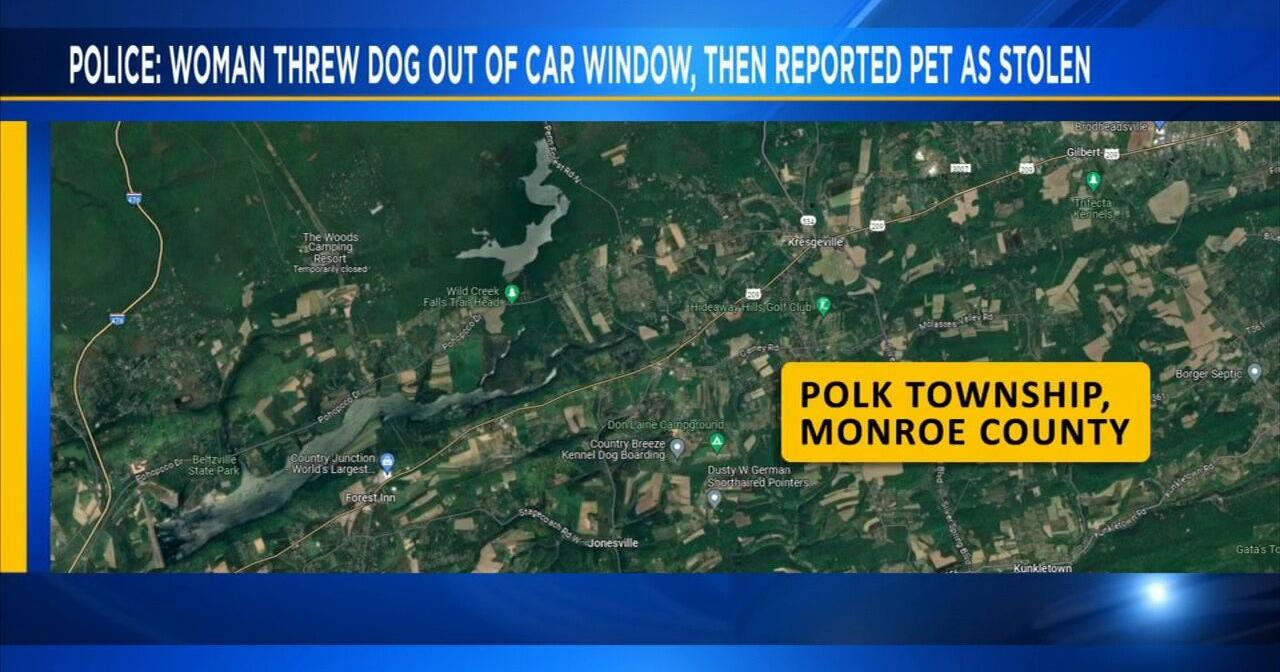 PSP: Woman threw dog out of car window before reporting it stolen, incident still under investigation - Vimarsana News