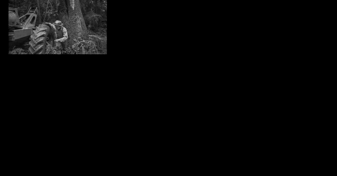 'One of the great masters of 20th-century photography': Friend discusses late photographer who captured daily life of rural Northampton County - Vimarsana News
