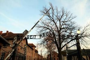 Clickbait and 'AI slop' distort memory of Holocaust