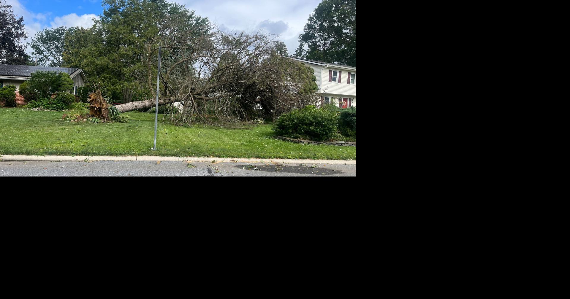 PHOTOS: Storm damage in Lehigh Valley after strong thunderstorms ...