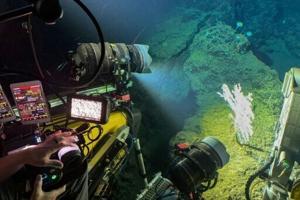 'So little we know': in submersibles revealing the deep sea