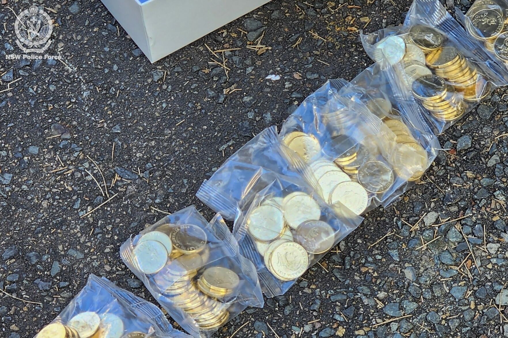 Australian Police Recover 40,000 Stolen 'Bluey' Coins | International ...