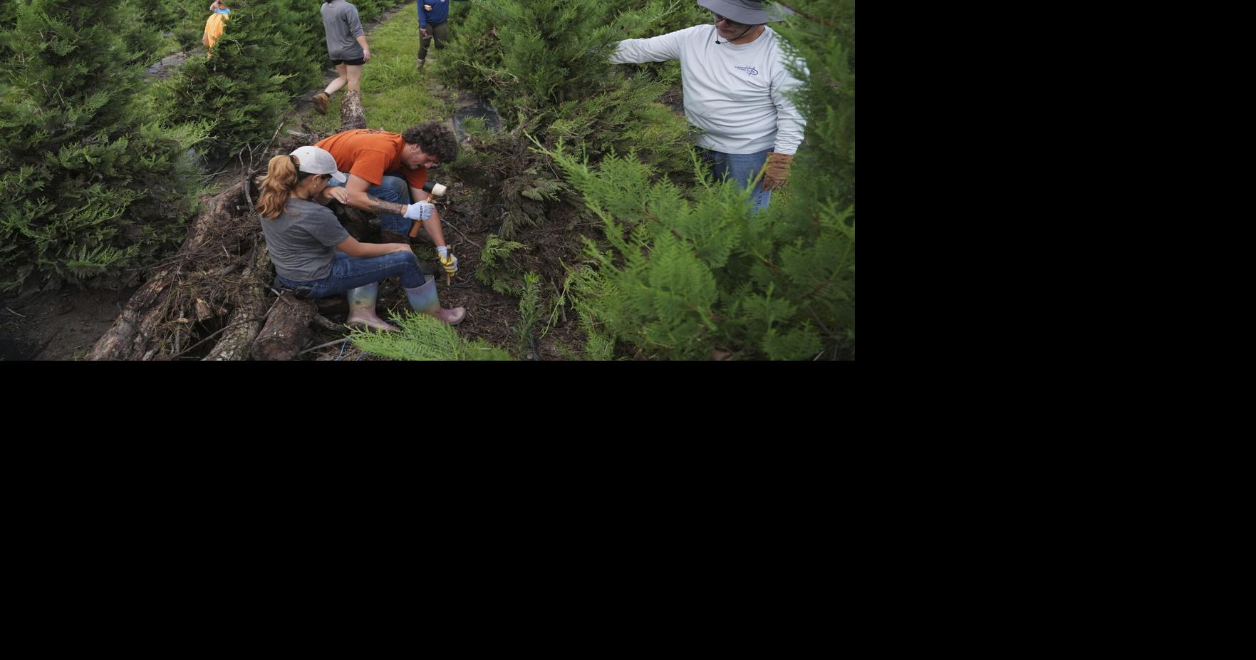 Texas floodwaters damaged crops, endangered livestock. Cleanup is now underway
