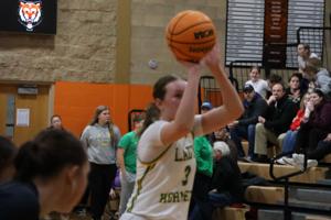 Brown County advances to regional title game with win over Central