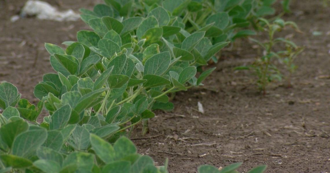 Illinois' soil conservation funding stagnates amid high-profile dust storms