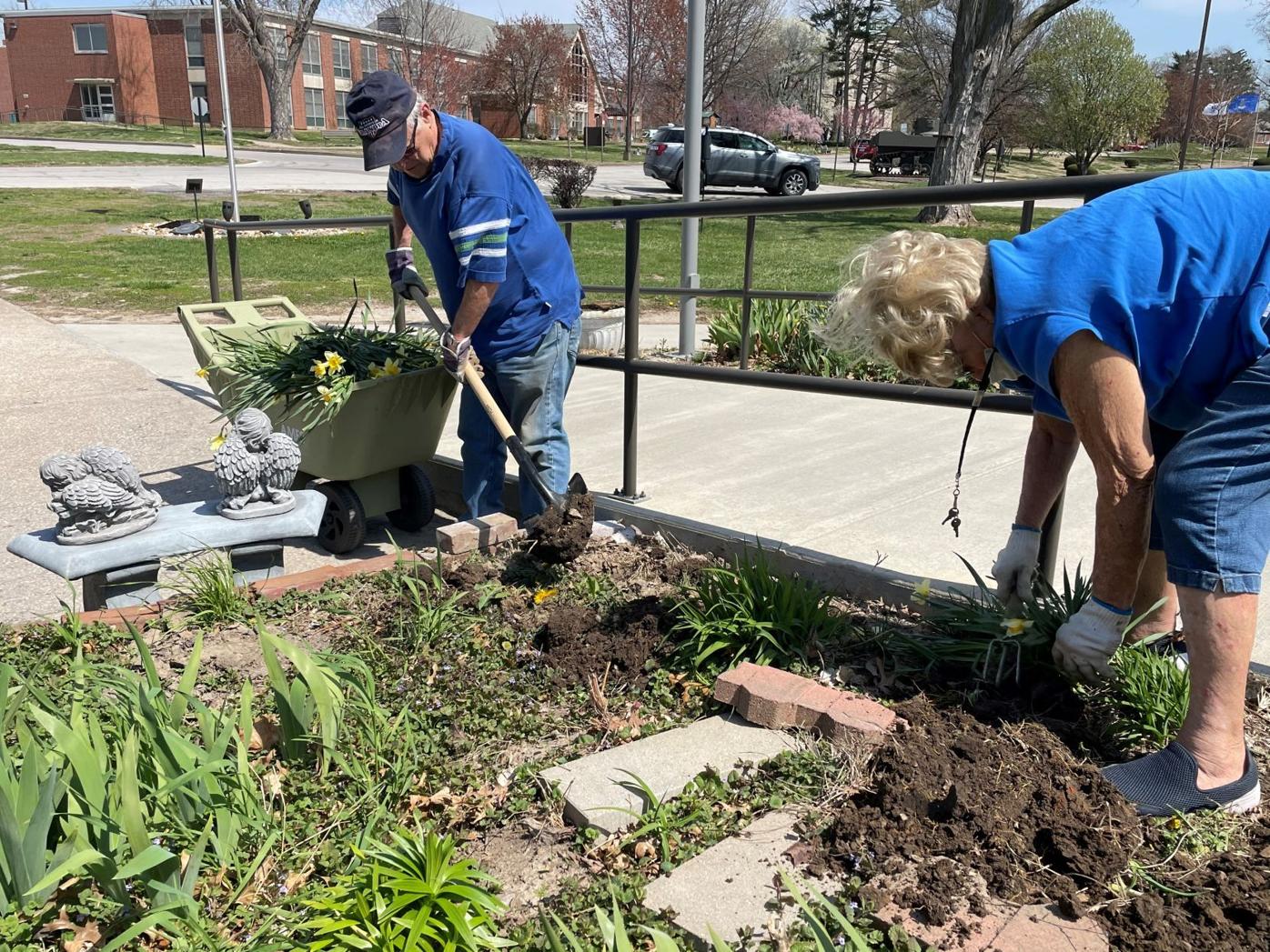 Transplanting flowers