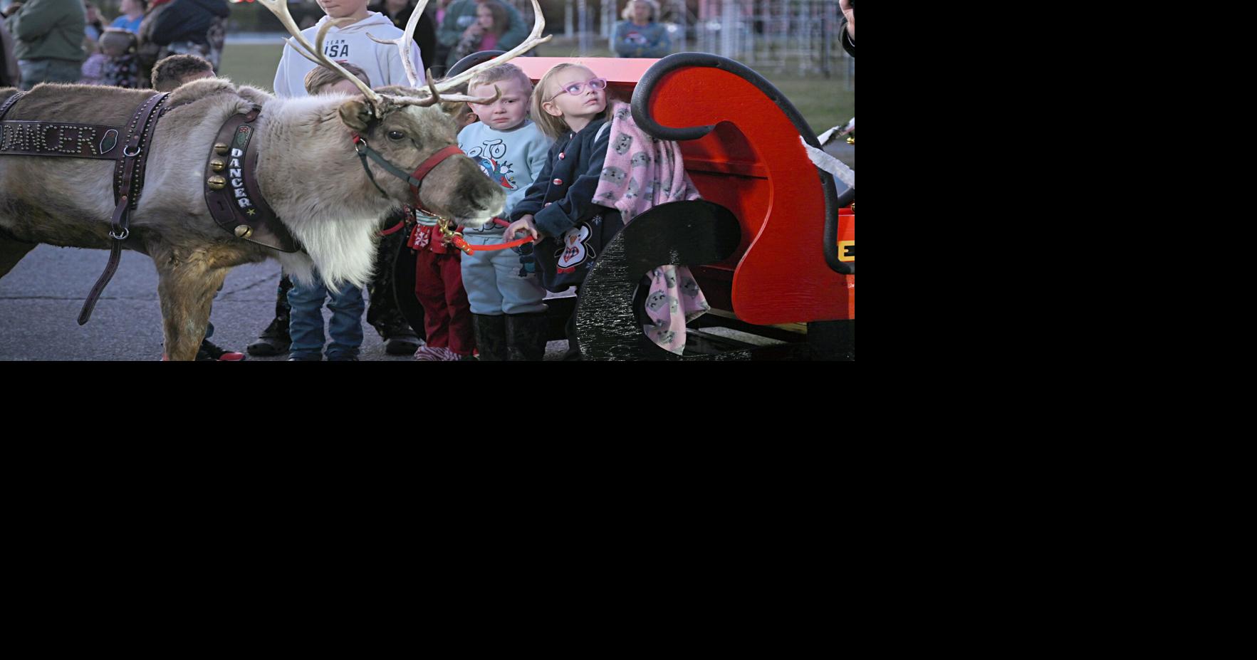 'Christmas magic at its best,' Dancer the reindeer wins hearts at ...