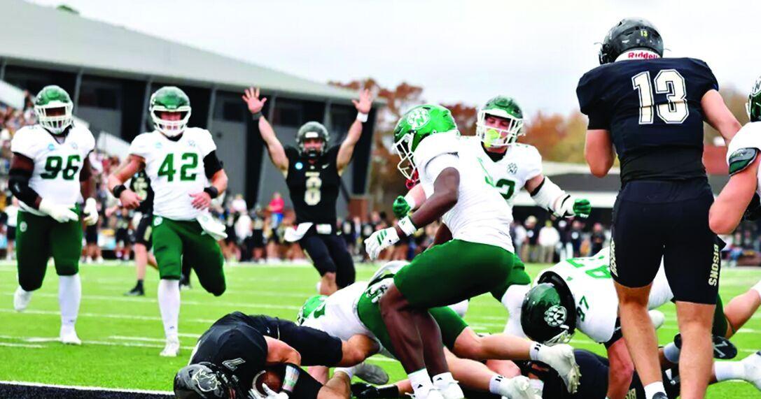 Bisons successful in opening round of DII playoffs