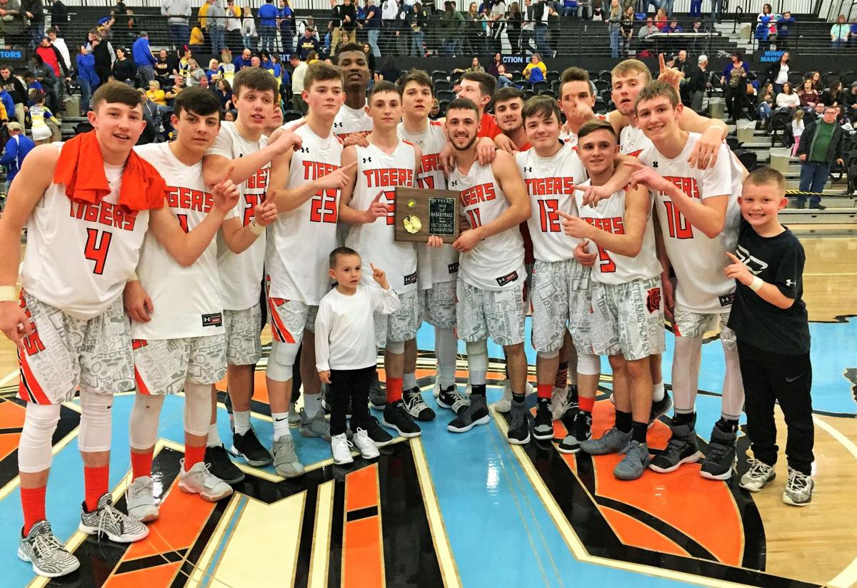 Tigers Take Down Cats Win Sectional Title Sports