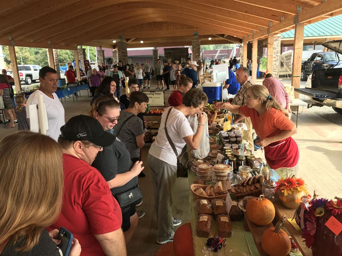 Hatfield and McCoy Heritage Days entertains visitors News