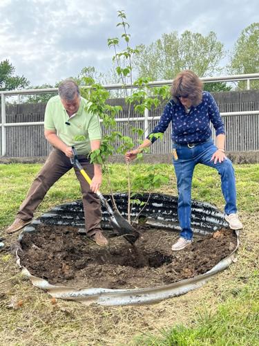 Williamson Plants Tree for Arbor Day