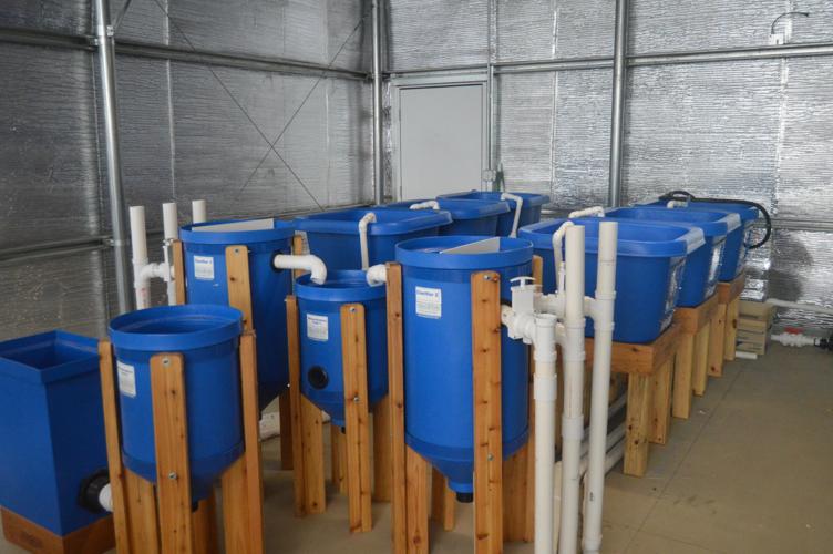 MCRA hosts tour of new Kermit aquaponics facility News