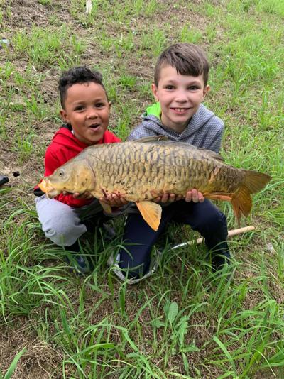 carp belo.jpg