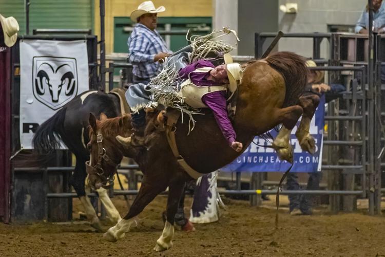 2022 Franklin Rodeo (Friday)