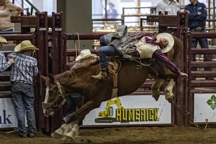 2022 Franklin Rodeo (Friday)