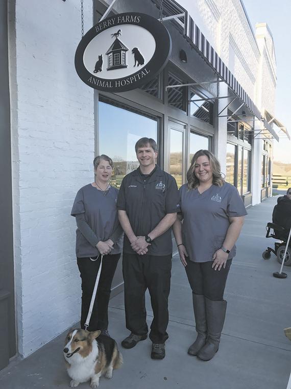 old derby animal hospital boarding