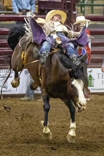2022 Franklin Rodeo (Friday)