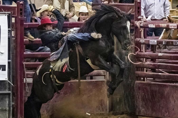 2022 Franklin Rodeo (Friday)
