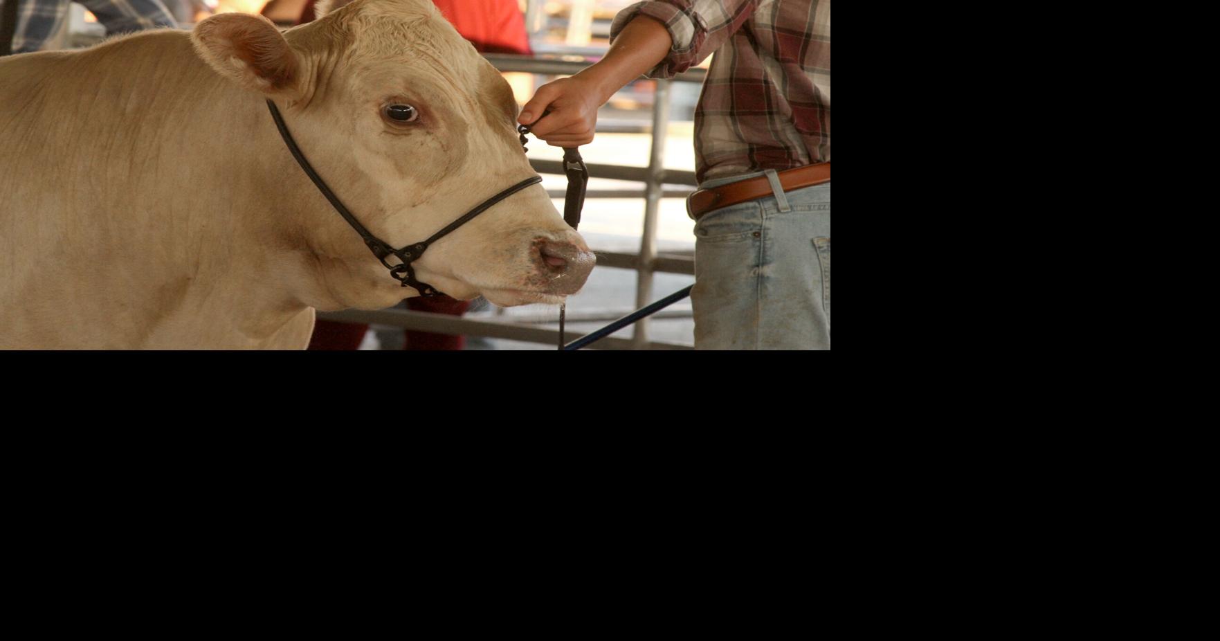 Williamson County Fair kicks off online competitive event registration June 16