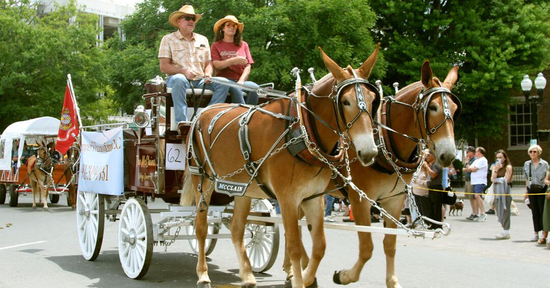 Franklin Rodeo Parade