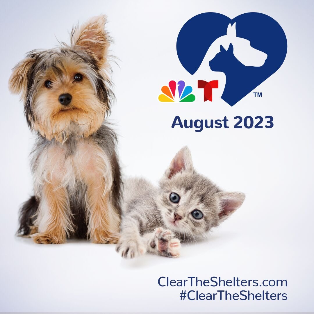 Animal Center offers discounted adoption fees for ‘Clear the Shelters'