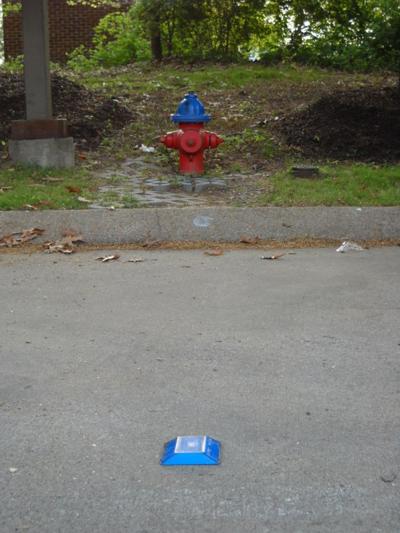 Brentwood Fire Hydrants Will No Longer Have The Blues News Williamsonherald Com