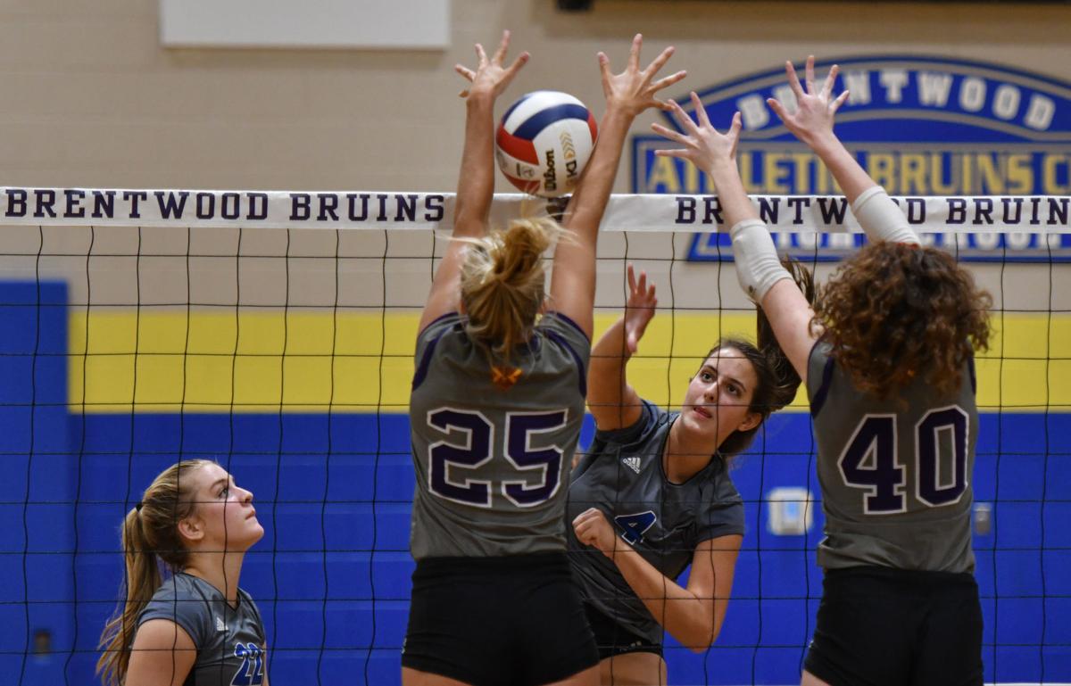 Volleyball Photo Gallery Father Ryan At Brentwood Multimedia Williamsonherald Com
