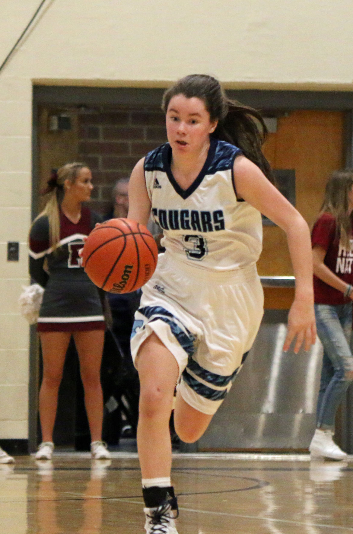 Hoops Photo Gallery Franklin Girls At Centennial Williamsonherald Com