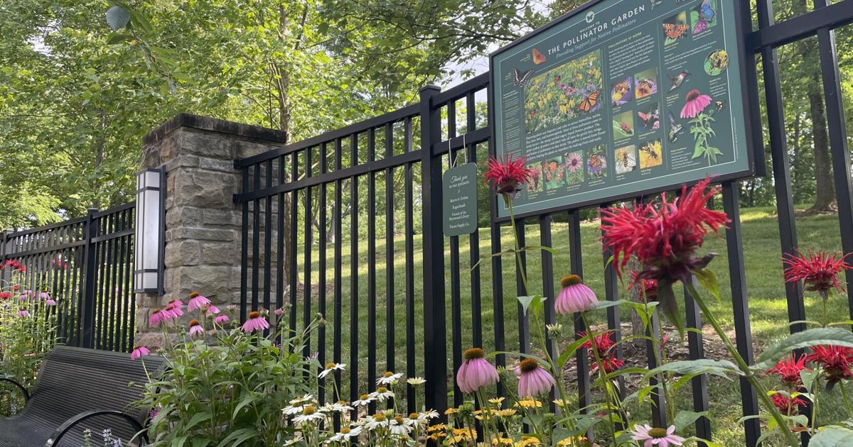 Brentwood Library to hold ribbon-cutting ceremony for new Pollinator ...