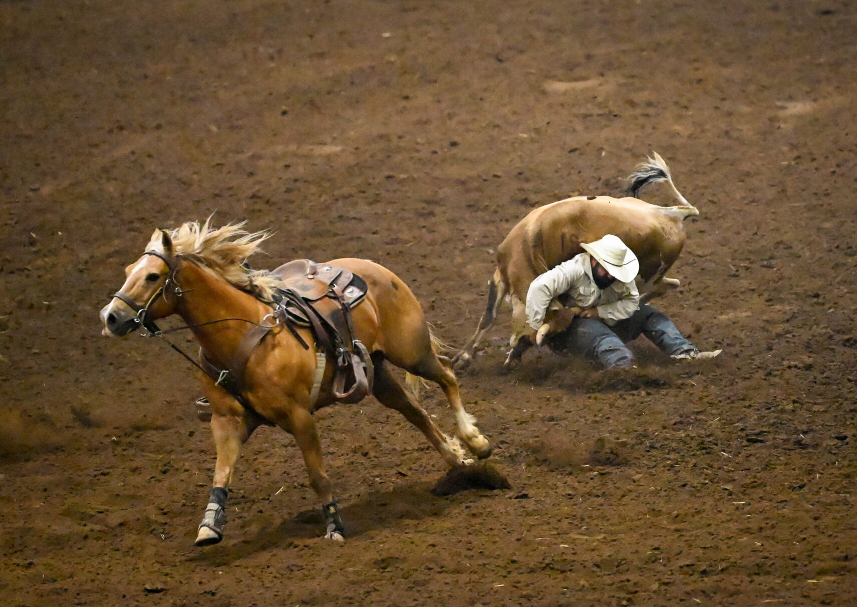 2025 Franklin Rodeo