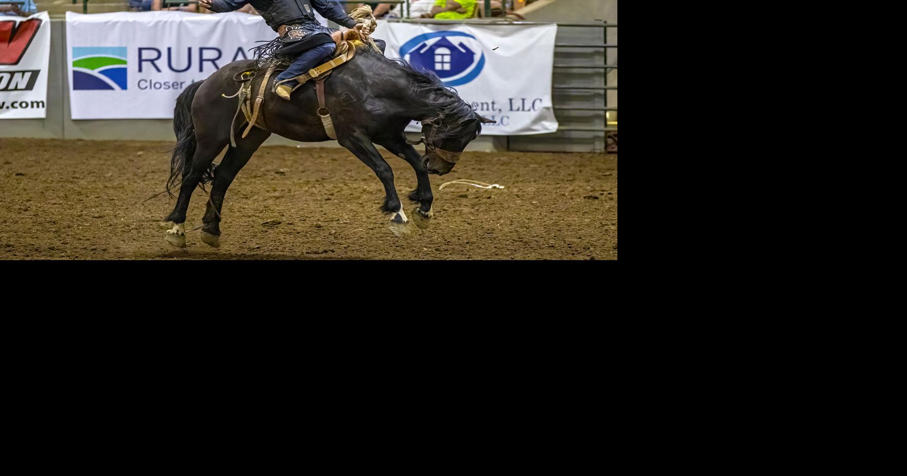 2022 Franklin Rodeo Photo Gallery | Multimedia | williamsonherald.com