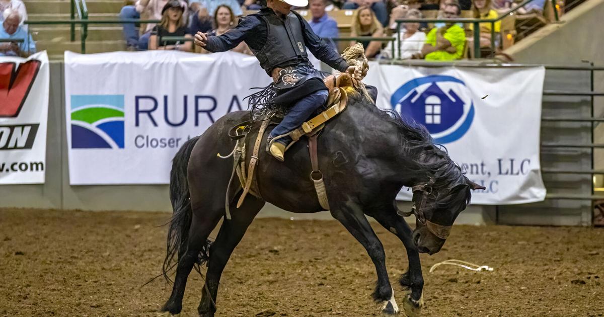 Franlin Rodeo 2022 Franklin Rodeo Photo Gallery | Multimedia | williamsonherald.com