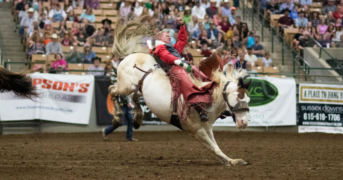 Fort Thompson Rodeo Thompson's Station native wins big at Franklin Rodeo | WLife ...