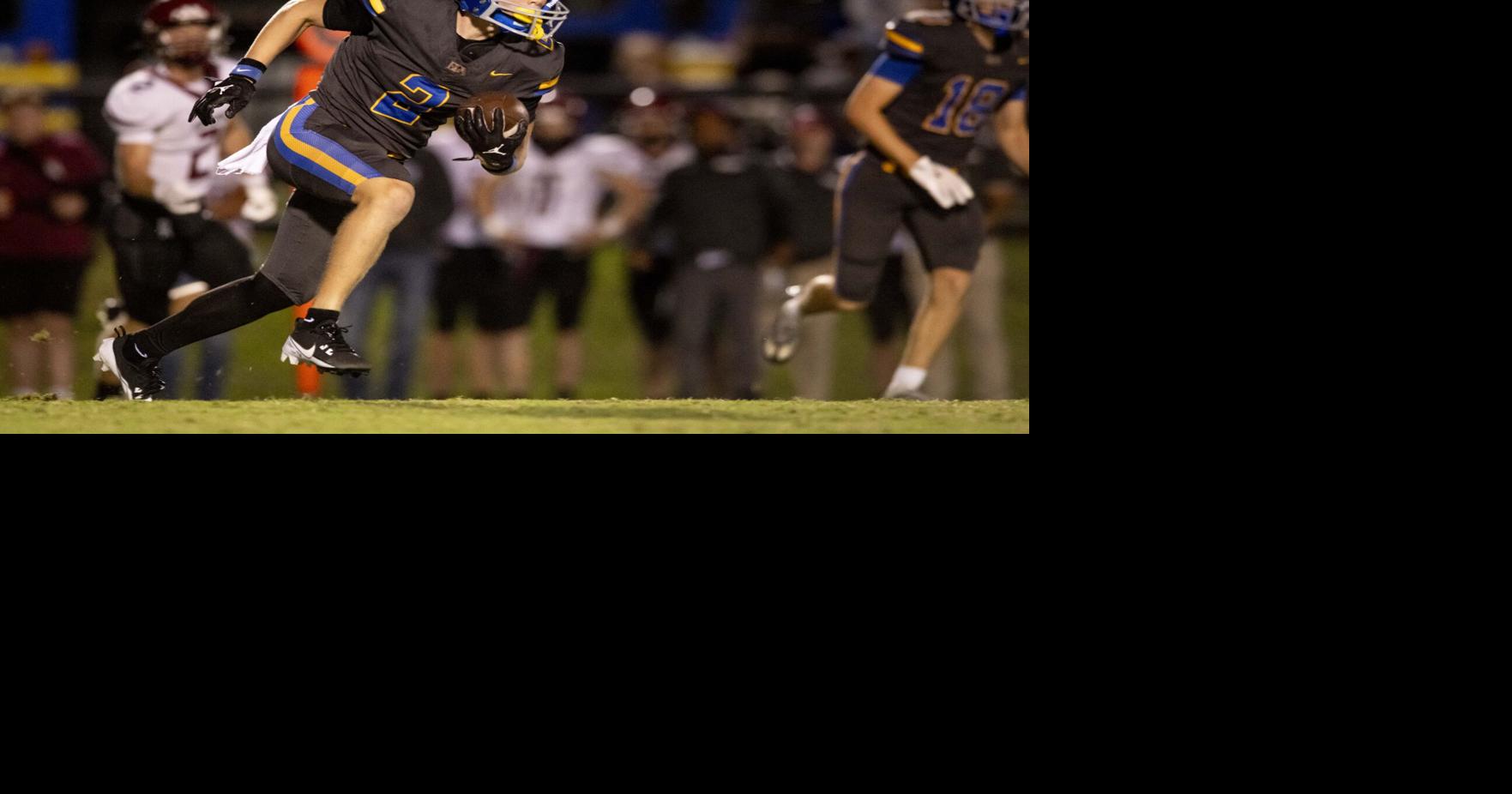 Tim Thompson Premier Performers features several runners, plenty of