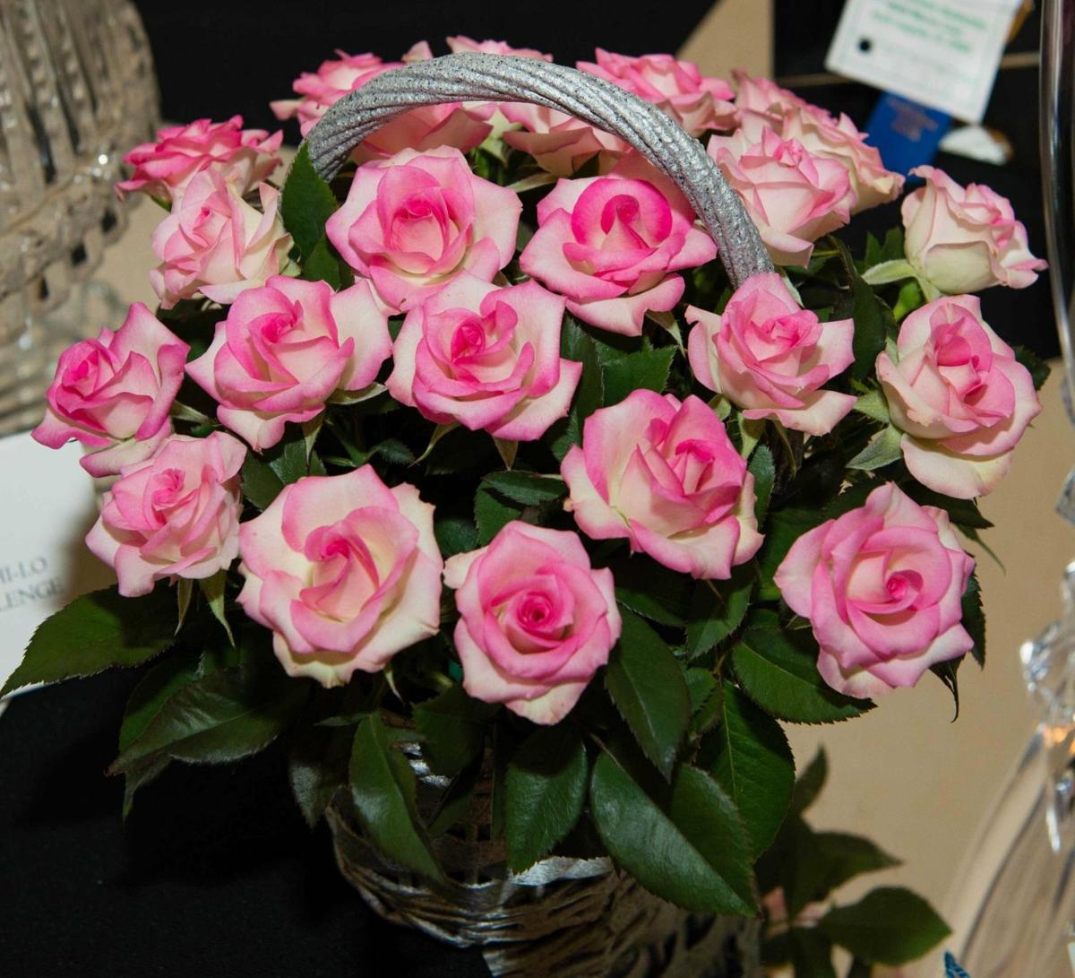 National Rose Show On Oct 5 To Celebrate National Rose Weekend