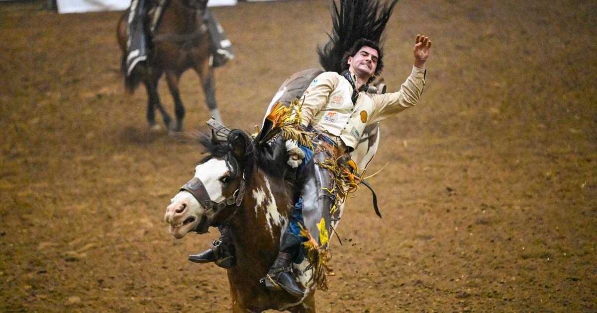 Franlin Rodeo Photo Gallery – Franklin Rodeo Scenes 2025 | Multimedia ...